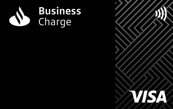Visa Business charge